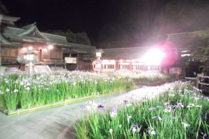 宮地嶽神社