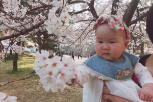 花見に行ってきました！！