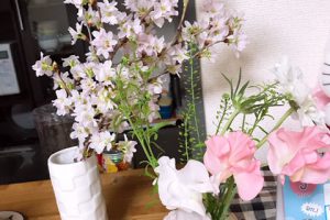 桜の季節は花粉の季節